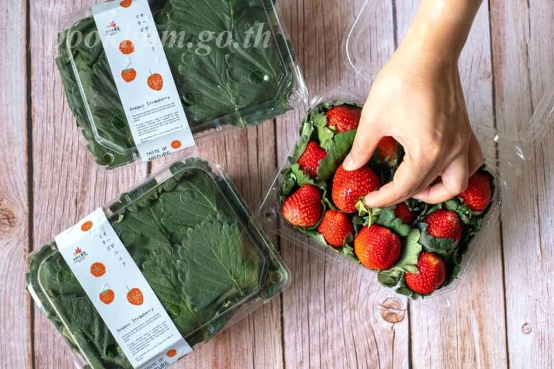 catalogs_file_647_35_13_889198.webp